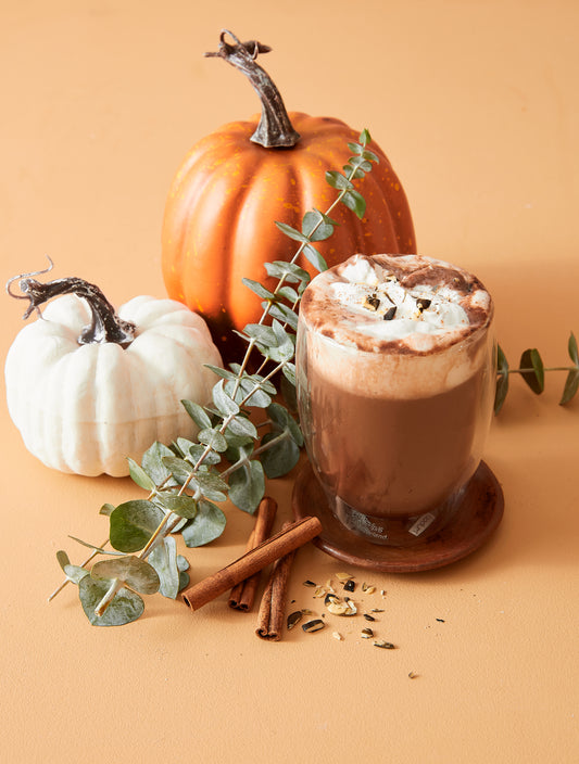 Spicy Hot Chocolate with Coconut Whipped Cream