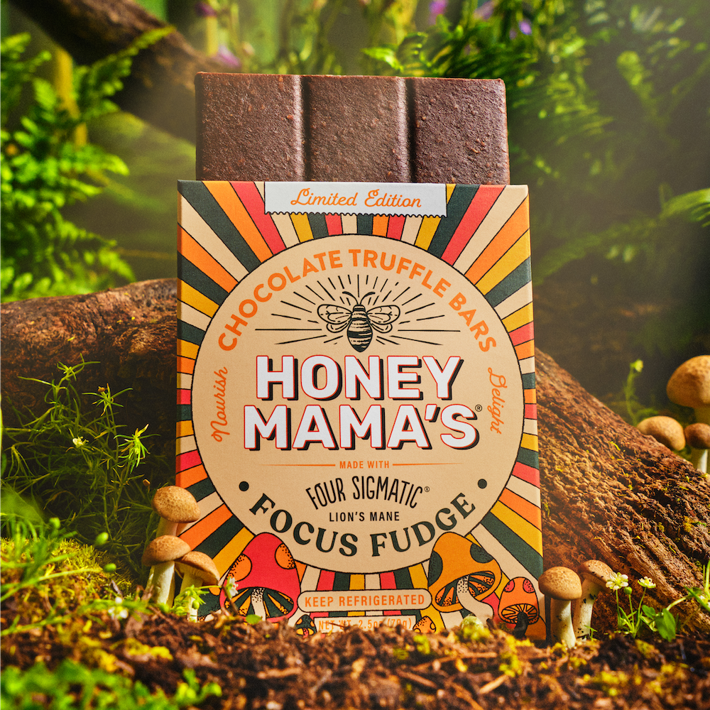 Four Sigmatic Focus Fudge